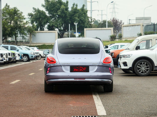 2024 Long Range Version 500km Interni Luxury Driving Smooth Ora Good Cat Mini Ev Auto elettrica