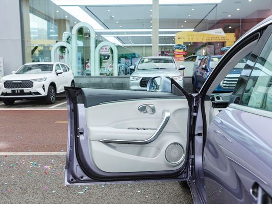 2024 Long Range Version 500km Interni Luxury Driving Smooth Ora Good Cat Mini Ev Auto elettrica