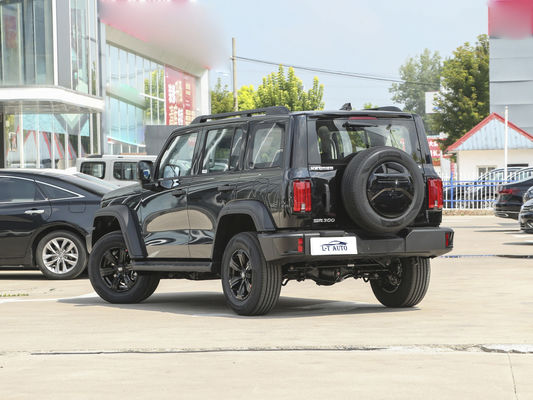 2024 Tank 300 Cross-Country 2.0T Turbo Gasoline Suv con coppia massima Nm di 300-400Nm