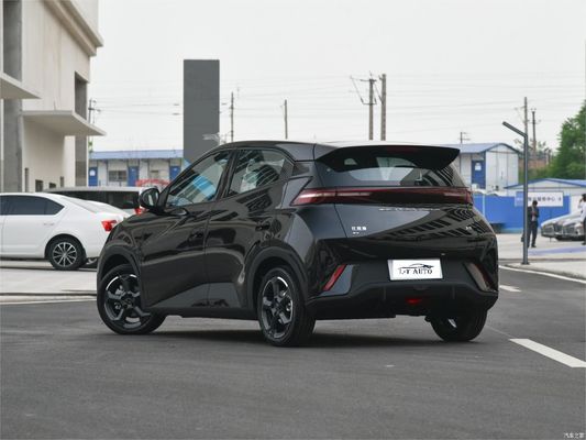 Tipo di energia Batteria Veicolo elettrico BYD Seagull 4 posti Hatchback 2024 Veicolo SUV