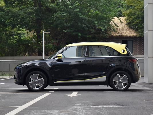 66.0kWh con batteria al litio ternario Pure SUV Long Range EV 2024 Car Smart Genie 1