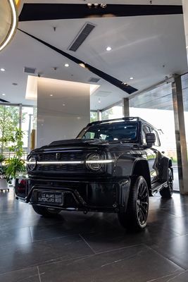 Prova potenza e prestazioni senza pari con il TANK 300 il veicolo off-road definitivo