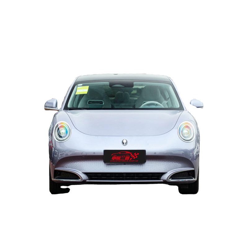 2024 Long Range Version 500km Interni Luxury Driving Smooth Ora Good Cat Mini Ev Auto elettrica