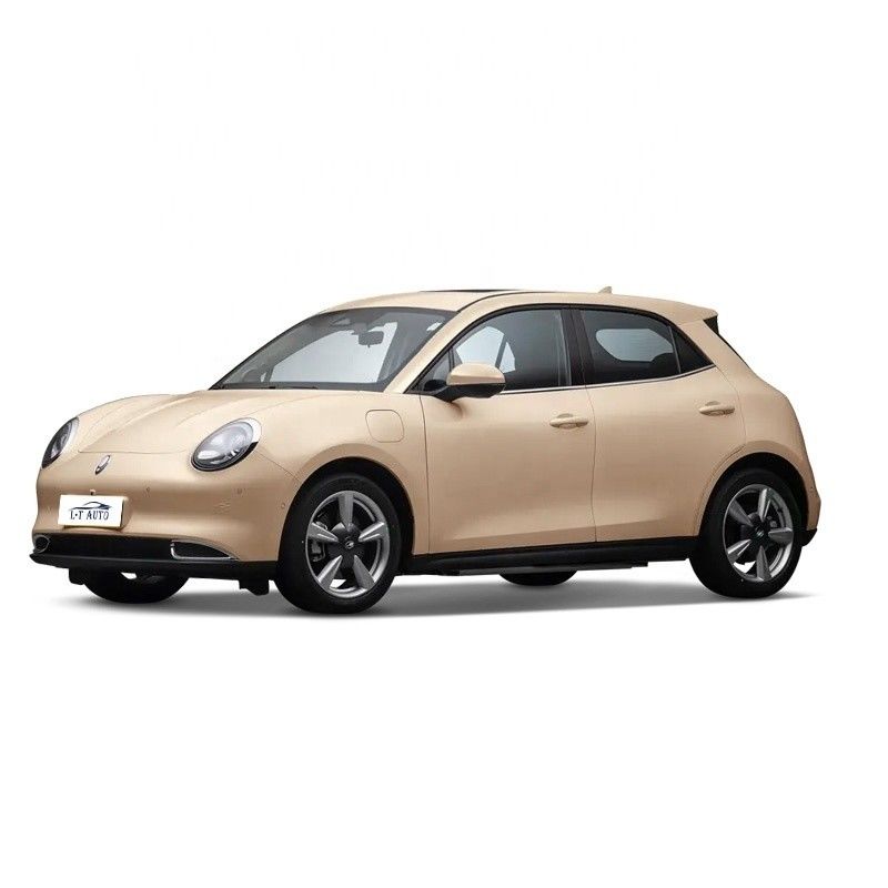 2024 Mini elettrico ORA Good Cat Long Range carino veicolo cinese 4235*1825*1596mm