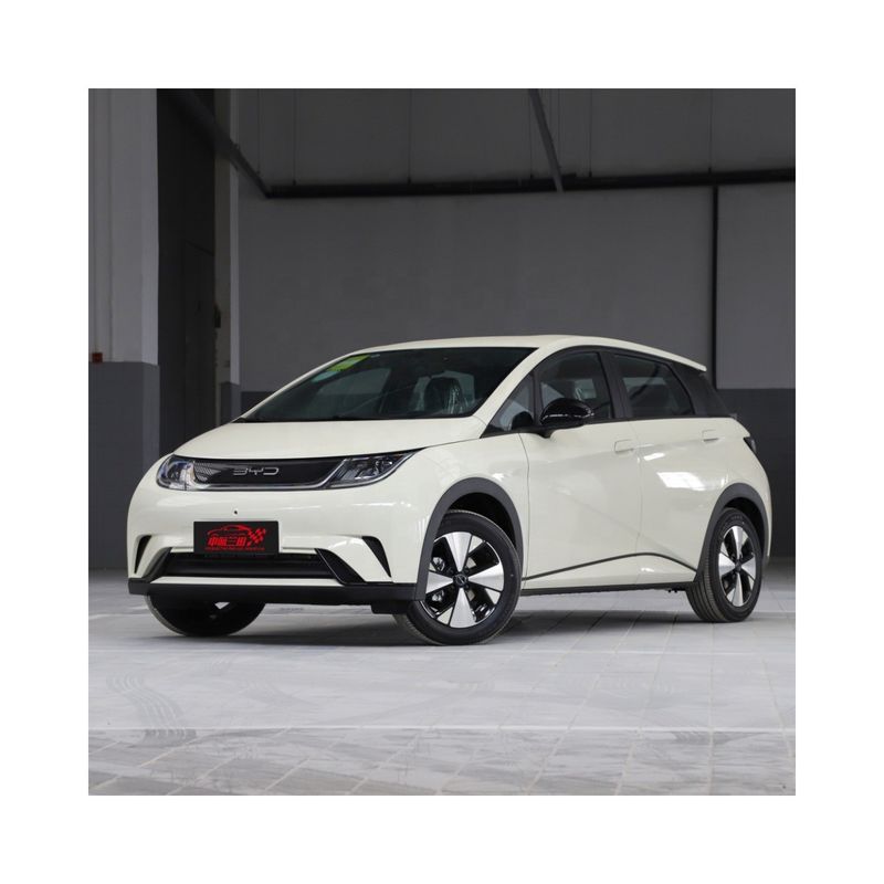 Guida verde resa facile con BYD Dolphin EV 405 km di autonomia elettrica pura e ricarica veloce