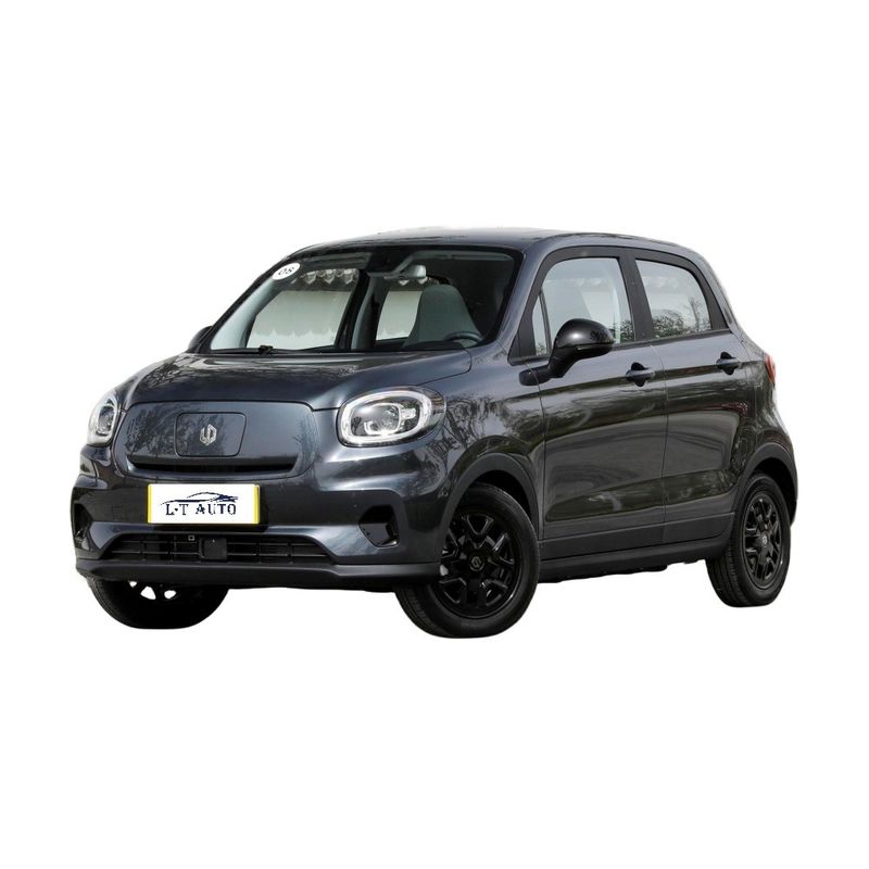 Leapmotor T03 Mini SUV Car Smart Version con 403Km di autonomia e 6 ore di tempo di ricarica lenta